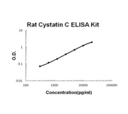 Rat Cystatin C ELISA Kit  (Part FPEK1109)